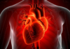 Human Heart Can Regrow Muscle Cells After Heart Attack, Study Finds