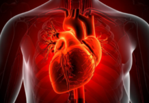 Human Heart Can Regrow Muscle Cells After Heart Attack, Study Finds