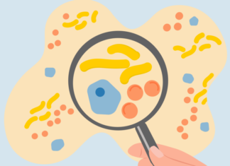 When your mouth is gross, blame your genes?