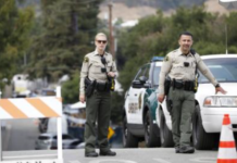 Indian-Origin Truck Drivers’ Drug Arrest in US Rekindles Debate on Immigrant Licensing: Report