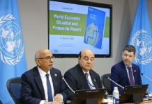 India Posts Strong Growth Despite Tough Global Conditions, UN Economist Says