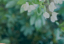 Katrina Kaif and Vicky Kaushal Name Son Vihaan Kaushal