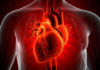 Study Finds Higher Risk of Heart Disease Deaths Among Cancer Patients