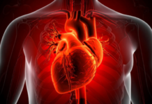 Study Finds Higher Risk of Heart Disease Deaths Among Cancer Patients