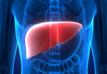 Oral Bacteria May Predict Risk of Chronic Liver Disease, Study Finds