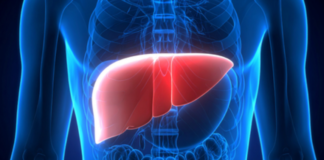 Oral Bacteria May Predict Risk of Chronic Liver Disease, Study Finds