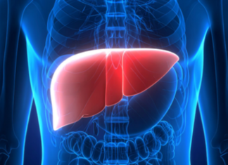 Oral Bacteria May Predict Risk of Chronic Liver Disease, Study Finds