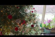 After the Fall — Episode 5: Wholeness, Love, and the Parts You Keep Leaving Behind