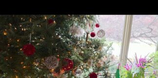 After the Fall — Episode 5: Wholeness, Love, and the Parts You Keep Leaving Behind