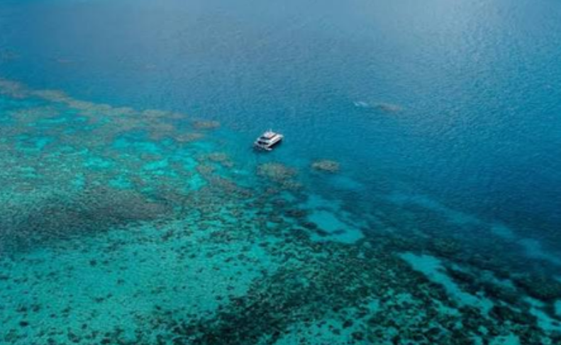 Australian Researchers Develop New Tool to Measure Great Barrier Reef Health